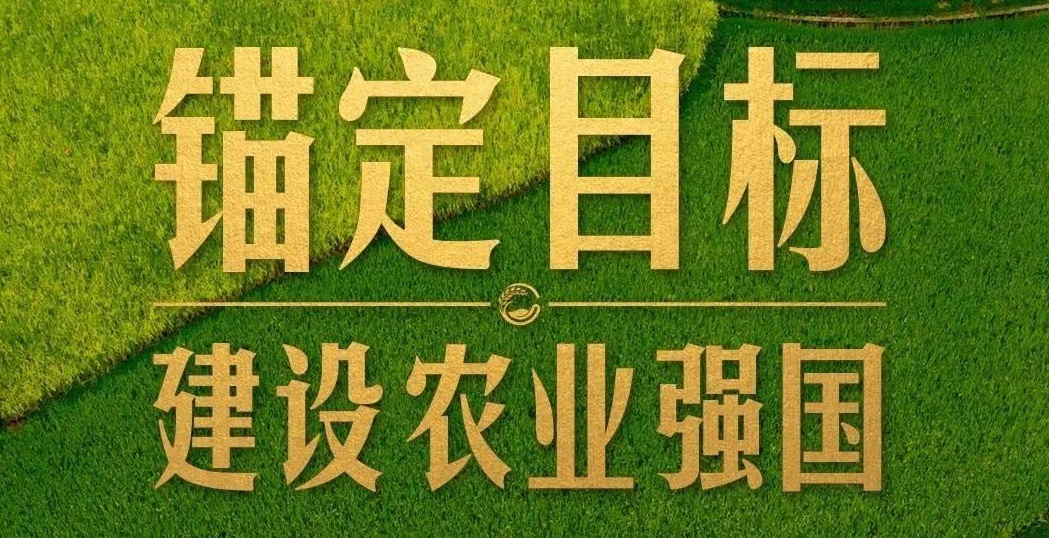 點燃現(xiàn)代農(nóng)業(yè)創(chuàng)新引擎，釋放農(nóng)業(yè)領(lǐng)域新質(zhì)生產(chǎn)力